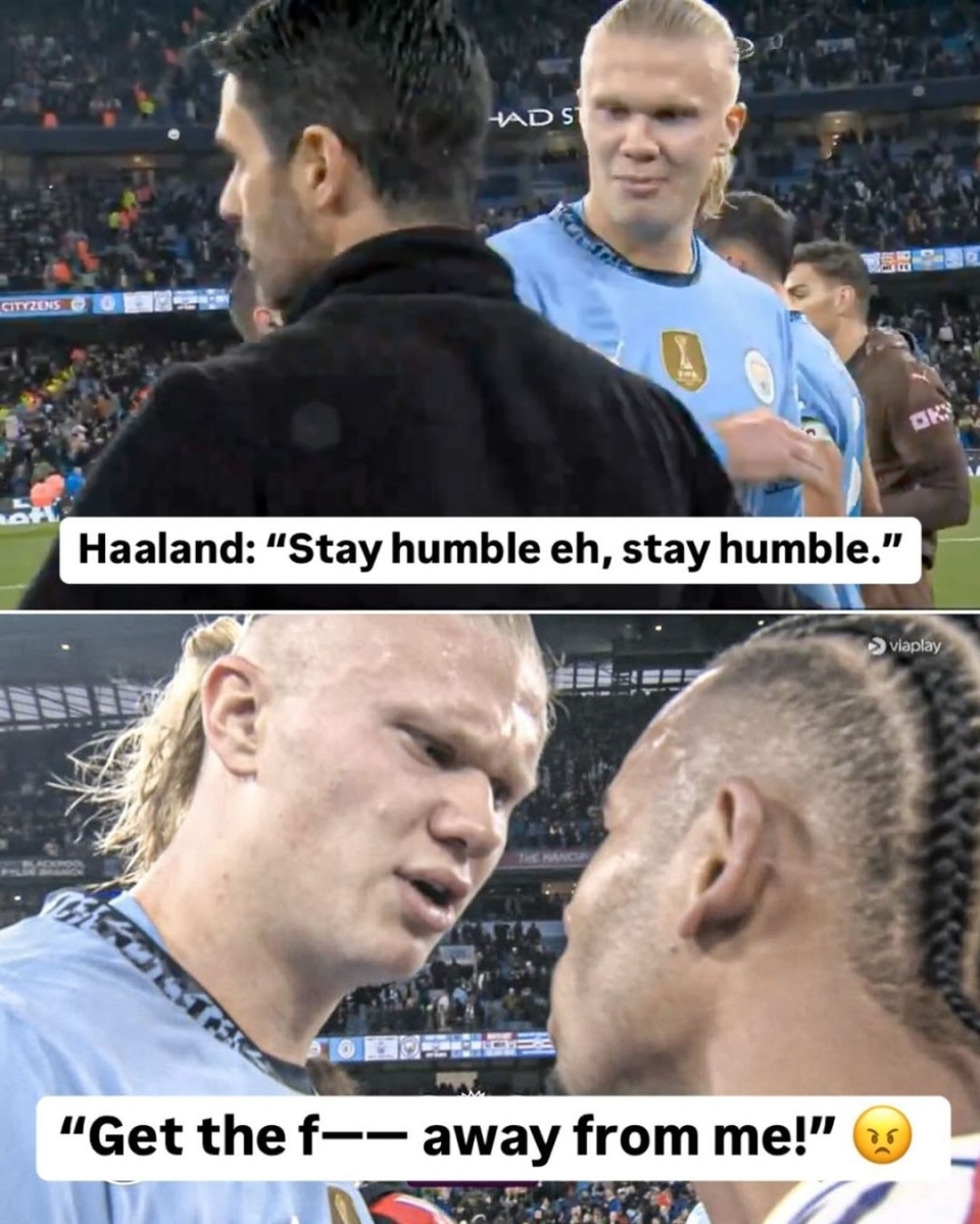  内德兰德的勇敢机智 